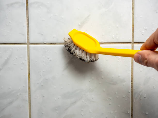 Best Mold Removal Company Near Me  in Lakewood, IL