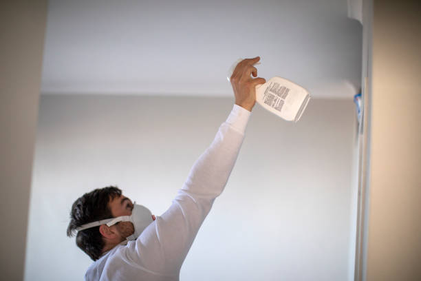 Best Black Mold Removal  in Lakewood, IL